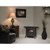 Cast Iron Vent-Free Compact Spirit Stove, Millivolt Control, Small