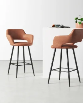 Lake Bar/Counter Stool (Set of 2)